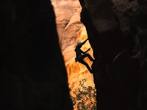 Photo by neom- on-unsplash